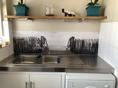 Splash Back for Kitchen Sink